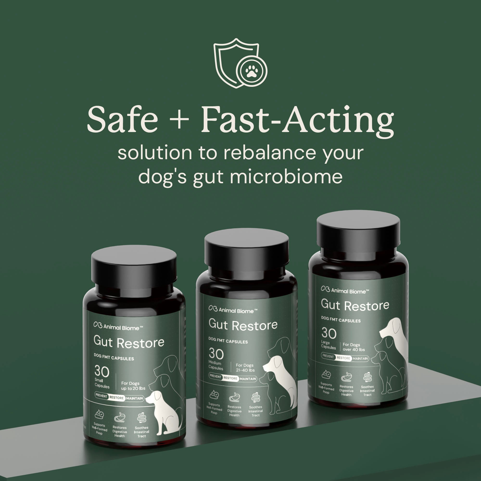 AB-EM_GutRestore_Safe-1.jpg